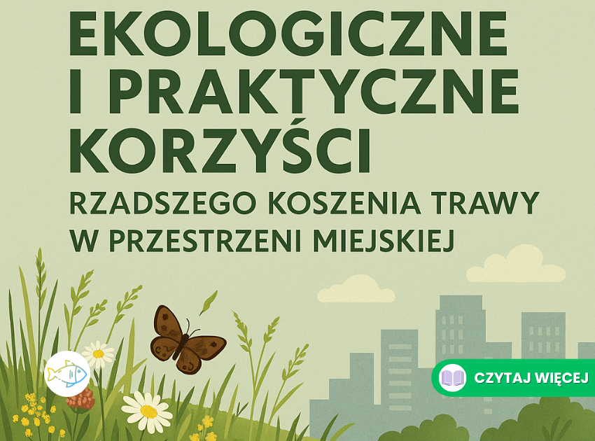 Rzadsze koszenie trawy