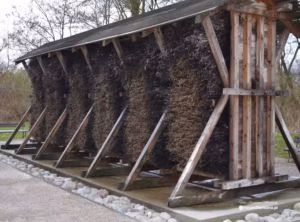 Drewniana Tężnia Solankowa z Bocznego ujęcia w Siemianowicach Śląskich, ilustrujące temat jej wpływu na zdrowie.